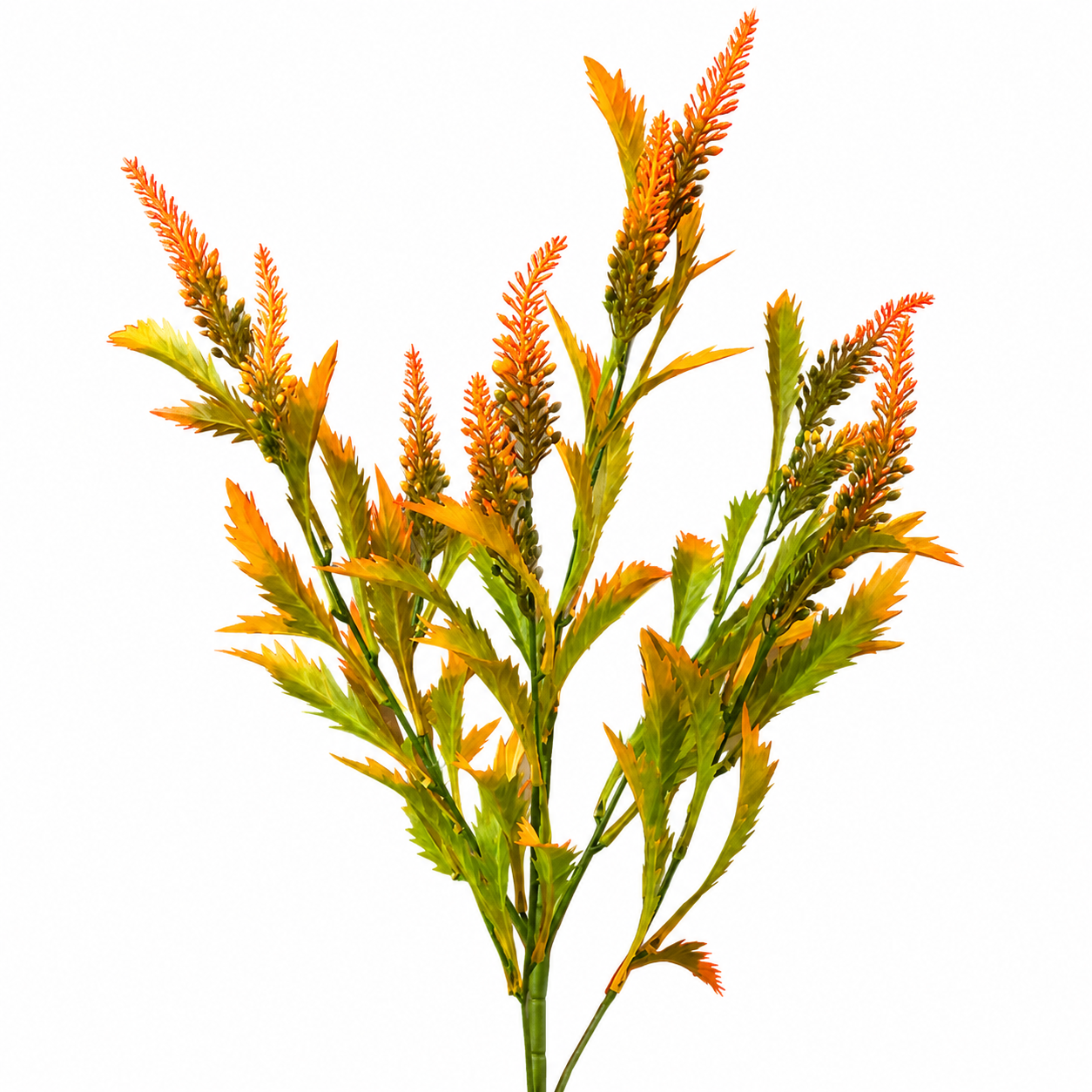 X 6 PLASTIC ASTIBLE 22 " ORANGE/GREEN