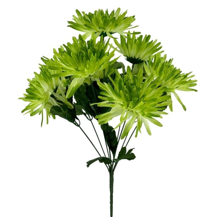 X9 SPIDER MUM FLORALS - GREEN