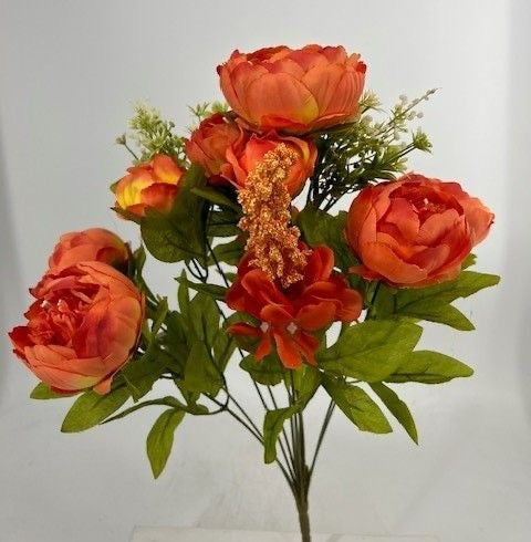 X13 Passionate Peony Bush - Salmon