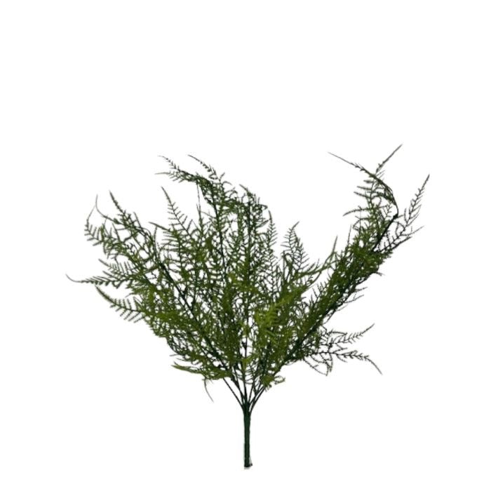 X6 PELARGONIUM RADENS 24" PLASTIC - GREEN