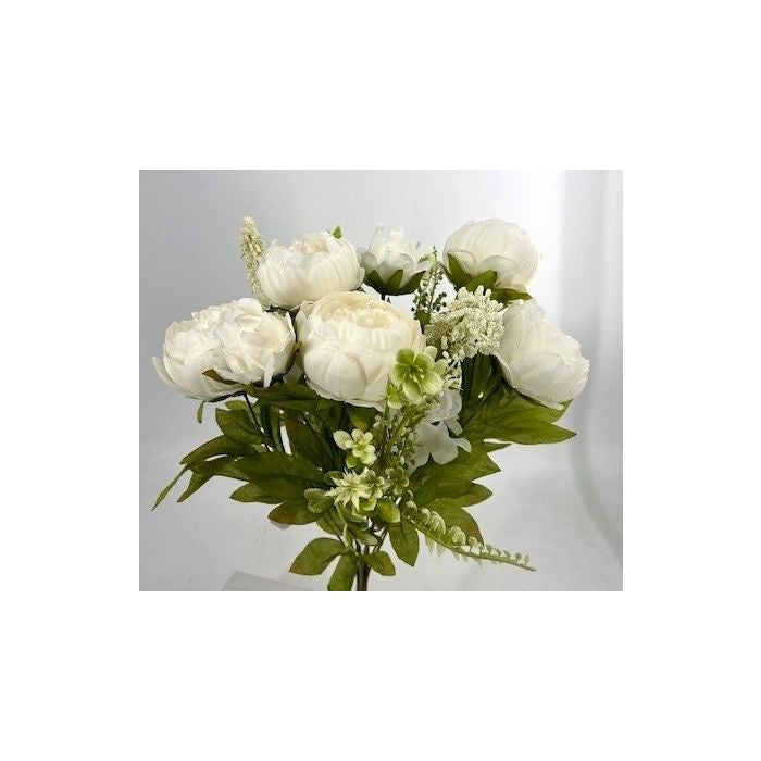 X13 Passionate Peony Bush - Cream White