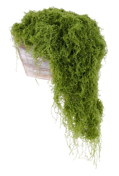 500G Fabric Moss In Bag Green - MD175630