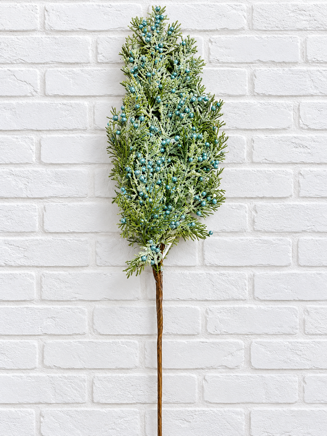 CEDAR W/BLUE BERRIES