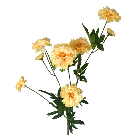 RUFFLED COSMOS STEM 32.5'' - BUTTER - DCB6204BC