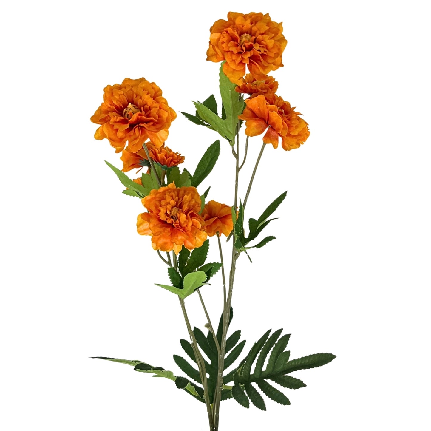 RUFFLED COSMOS STEM 32.5' '- ORANGE - DCB6204OR