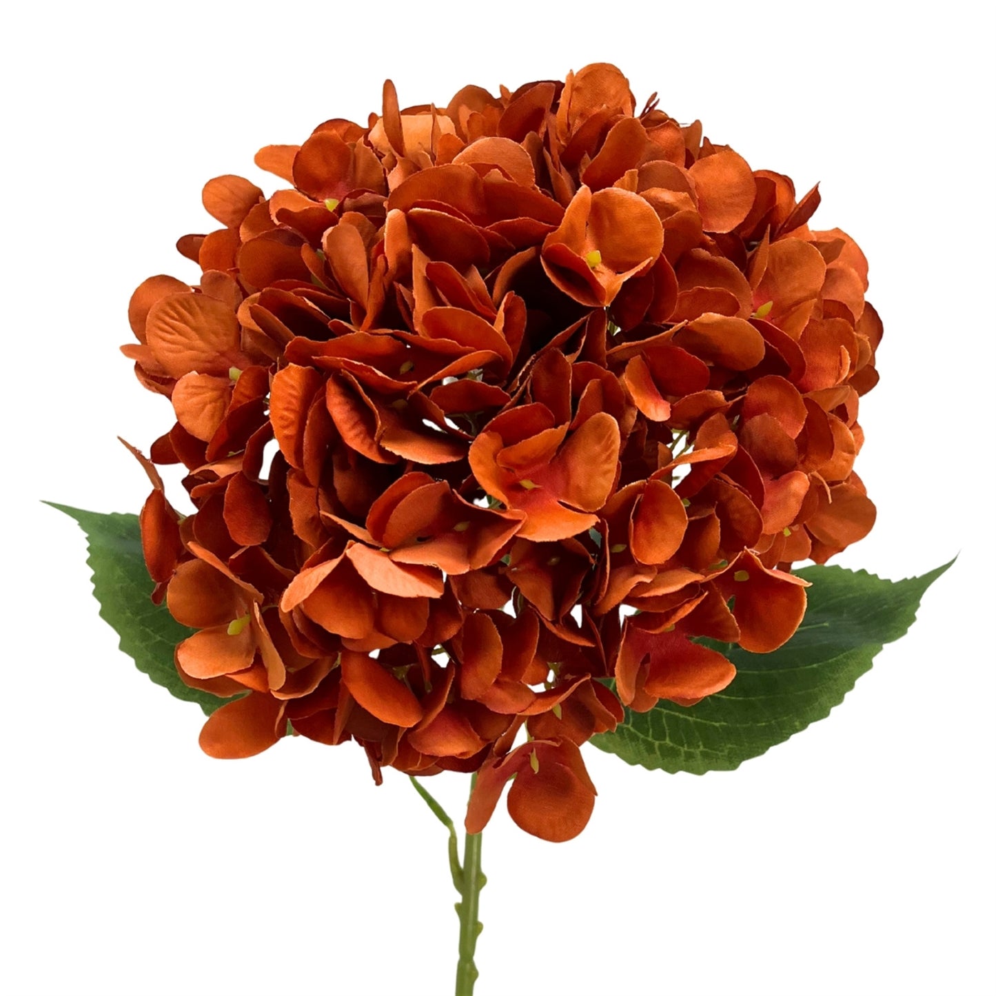 FULL BLOOM HYDRANGEA 27''- BURNT ORANGE - DCSP6255BNOR