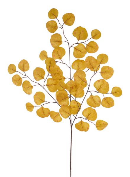 27"L Apple Leaf Mustard Spray - Artificial floral stem - FG671650