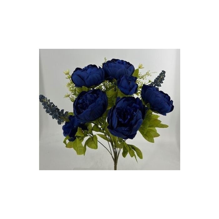 X13 Passionate Peony Bush - Royal Navy