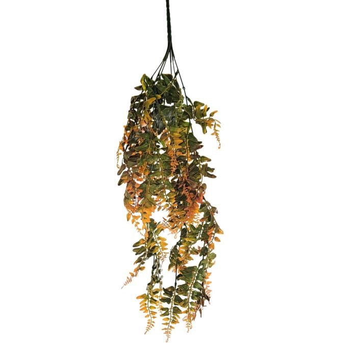 X 6 CREEK FERN 24 " - ORANGE / GREEN