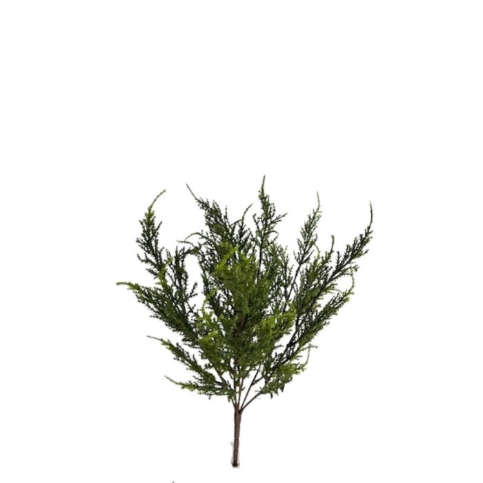 X7 CEDAR STEM - GREEN