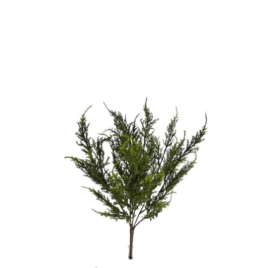 X7 CEDAR STEM - GREEN