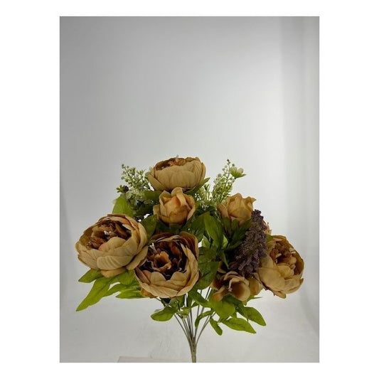 X13 PASSIONATE PEONY BUSH - COFFEE BROWN