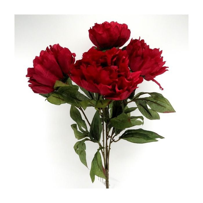 X5 Peony Bush - DEEP RED