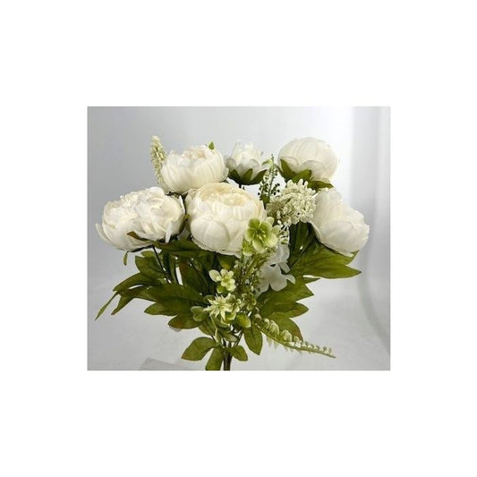 X13 Passionate Peony Bush - Cream White