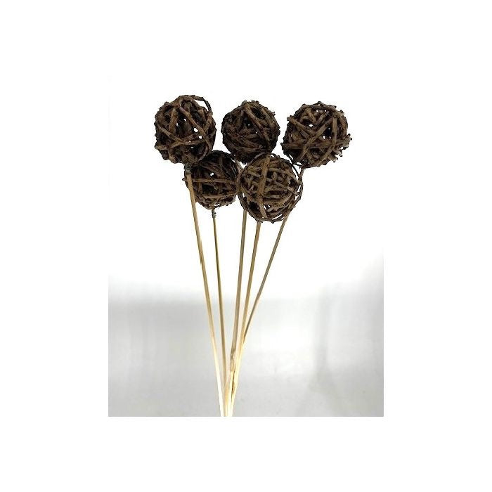 ROOT BALL STEM 19"-21"H (5 STEMS/BAG) - NATURAL